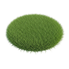 Close-up view of a lush green bush or grass mound with detailed texture transparent background