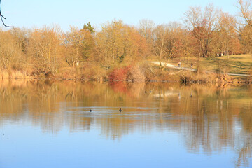 Peaceful Autumn Lake Surrounded By Vibrant Colorful Trees