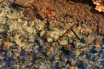 Clear stream over colorful autumn rocks and leaves
