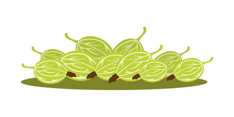 Scattered gooseberries.