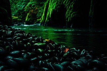 Dark, mossy riverbanks in a lush, shadowy forest