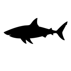 Fototapeta premium Shark silhouette in black on white background 