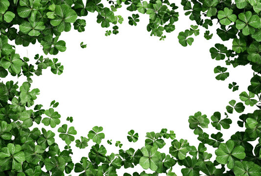 A frame of green clover leaves, isolated on transparent background, creating a natural and lucky border for st patricks day designs