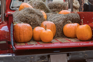 A red pickup truck loaded with pumpkins and haystacks. Pumpkins in the trunk of the car. The concept of farming, harvesting, Halloween