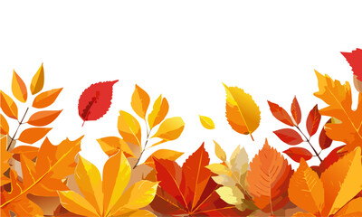 autumn leaves on white background vector banner design