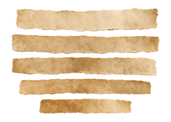 Old ripped paper strips with torn edges.