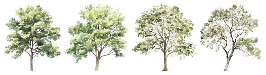 Fototapeta premium PNG Watercolor trees nature illustration, element set on transparent background