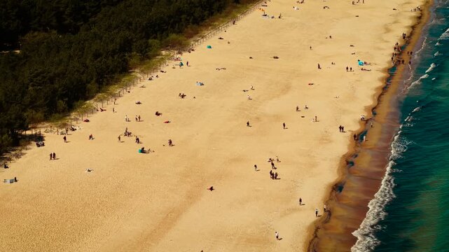 Sandy coastline with gentle waves and visitors in Gdansk Poland. People walking and relaxing along golden beach. Forest edge lining tranquil seaside environment. Natural beauty of Baltic shore under