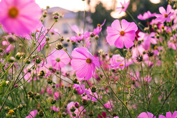 A blooming pink cosmos catches the eye, set among lush greenery and a field of vivid, colorful flowers.