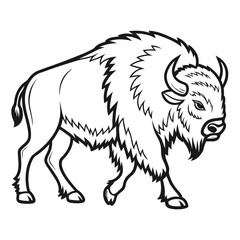 vector illustration of a wolf