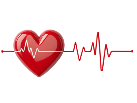 Glossy red heart with white electrocardiogram line and red heartbeat waveform isolated on a transparent background