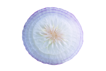 A sliced red onion isolated on transparent background, showcasing its vibrant purple rings and intricate layers, perfect for culinary use