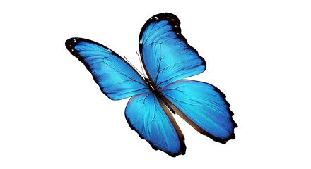 Stunning Blue Butterfly Isolated Against White Background, Detailed Wing Texture