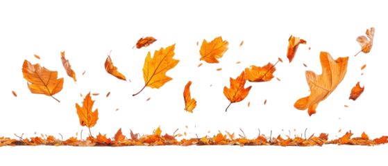 Dynamic Composition of Autumnal Leaves in shades of orange and brown against a black background with scattered foliage emphasizing the season
