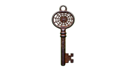 Unlocking ancient secrets with this intricately detailed antique skeleton key featuring a captivating spiderweb and spider motif
