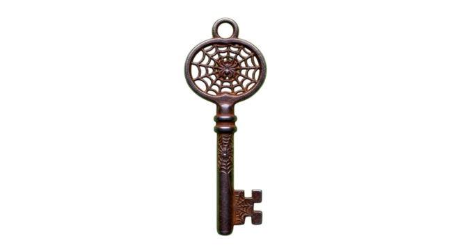 Unlocking ancient secrets with this intricately detailed antique skeleton key featuring a captivating spiderweb and spider motif