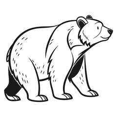 polar bear vector illustration