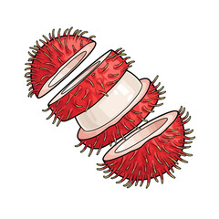 Close-up illustration of a sliced rambutan fruit, showcasing its vibrant red exterior and white inner flesh.