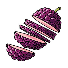 Close-up of a sliced purple mulberry fruit, showcasing its juicy texture and detail.
