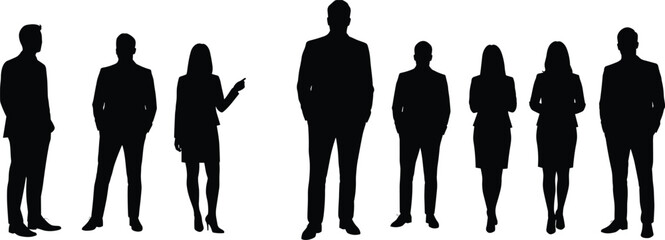 Business people silhouette, professional team standing, corporate staff group, office executives, leadership concept, company employees, teamwork, management unity, workforce illustration