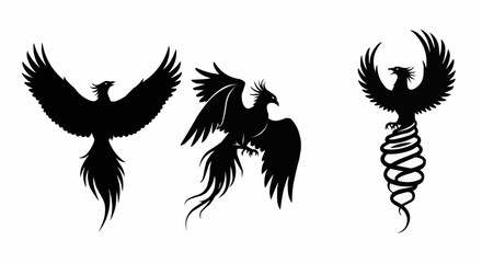 Obraz premium Phoenix Silhouette Vector Set on White Background – Mythical Bird, Firebird, Rising Phoenix, Fantasy Winged Creature Black Solid Shapes for Design and Decoration