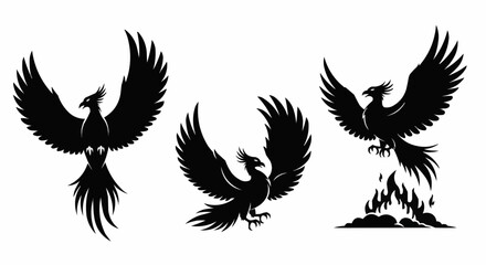 Fototapeta premium Phoenix Silhouette Vector Set on White Background – Mythical Bird, Firebird, Rising Phoenix, Fantasy Winged Creature Black Solid Shapes for Design and Decoration