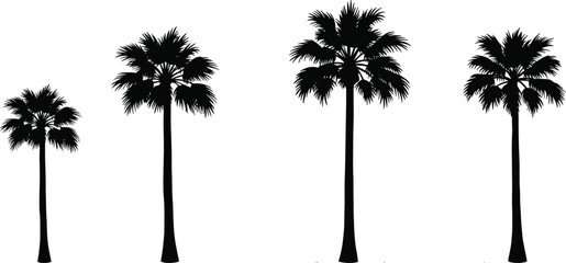 Fototapeta premium Palm tree silhouette, tropical beach trees, summer vacation nature, exotic island plants, coastal landscape, holiday travel background, tropical paradise illustration