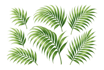 Watercolor illustration of palm leaf branches.