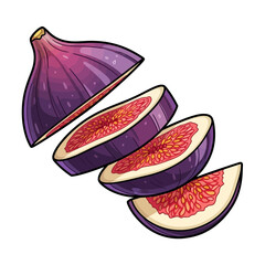 A detailed illustration of a sliced purple fig, showcasing its inner texture and vibrant colors.