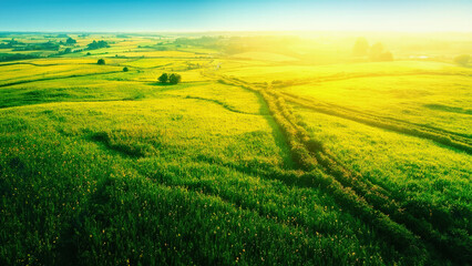 Fototapeta premium Aerial view of vibrant green fields under a bright yellow sun with a clear blue sky and a winding path through the landscape