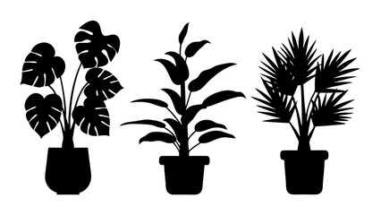 Set of Potted Houseplant Silhouettes. Black Indoor Plant Icons