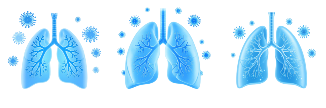 Abstract Lungs Illustration Depicting Respiratory System And Viral Infection In Blue Hues Against Black Background - Powered by Adobe