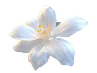 Naklejka premium Delicate white flower isolated on transparent background