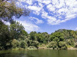 Fototapeta premium VIew to lake, trees and hills