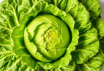 Fototapeta premium Intact green cabbage head, flat lay, vibrant, close-up, culinary, healthy food