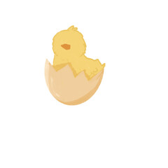 easter egg with chicken