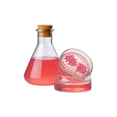 Pink Liquid in Erlenmeyer Flask and Petri Dishes with Bacterial Colonies