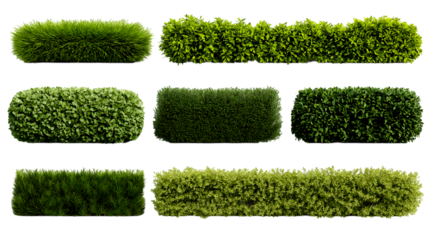 Assortment of meticulously trimmed green hedge bushes isolated on white background