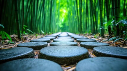 A pathway of smooth, gray stones leads through a dense bamboo forest