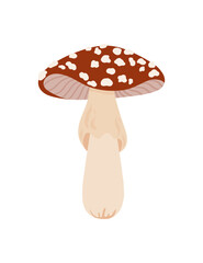 Fly agaric hand drawn cute print. Amanita muscaria, Inedible mushroom.  vector illustration.