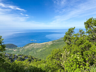 View of Adriatic Sea from green mountain slope with distant islands on the horizon. Coastal tranquility, Mediterranean landscape, and serene natural beauty.