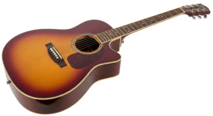 Isolated Acoustic Guitar