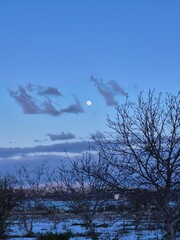 Fototapeta premium Serene evening landscape with full moon.