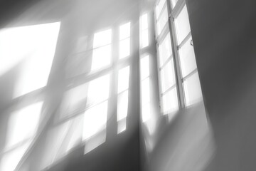 empty room with white walls