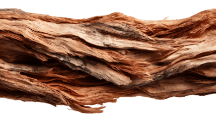 weathered, textured wood bark isolated on white background