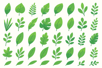 Leaves and plants collection. Big set of various leaf designs in green gradient colors. Botanical vector cartoon illustration. Natural, organic, and eco friendly design elements.