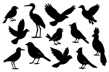 Obraz premium Set of bird silhouettes. Collection of various birds in different poses. Flying, standing. Black vector graphic icons isolated on white background. Wildlife, nature concept.