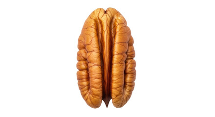 Isolated Pecan