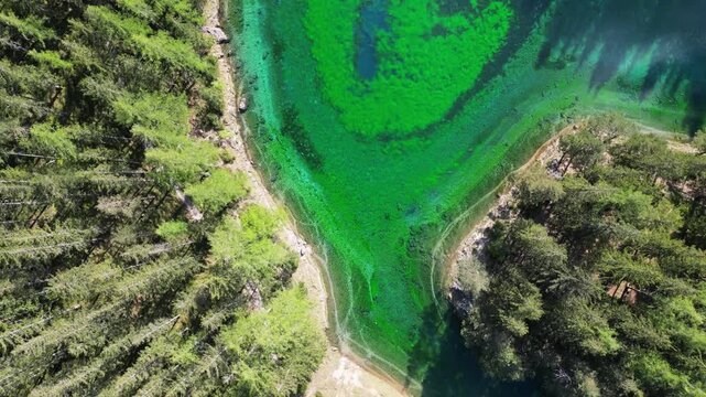 Aerial view of the emerald green Gruner See lake's crystalline waters contrasting with the lush forest in Tragob, Bruck an der Mur, Austria.