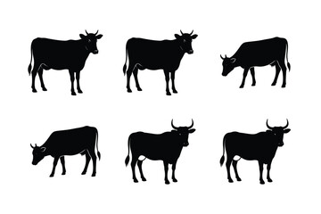 Silhouette Cow  Bundle